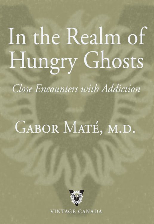 Обложка книги «In the Realm of Hungry Ghosts: Close Encounters with Addiction»