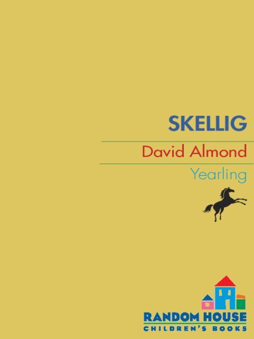 Обложка книги «Skellig»