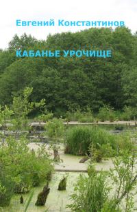Обложка книги «Кабанье урочище»
