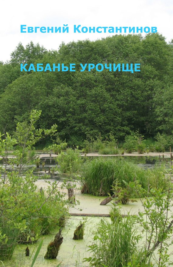 Обложка книги «Кабанье урочище»