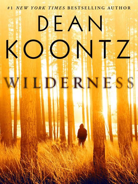 Обложка книги «Wilderness»