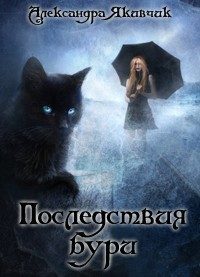Обложка книги «Не будите в кошке зверя! Последствия бури»