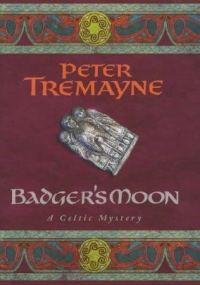 Обложка книги «Badger's Moon»