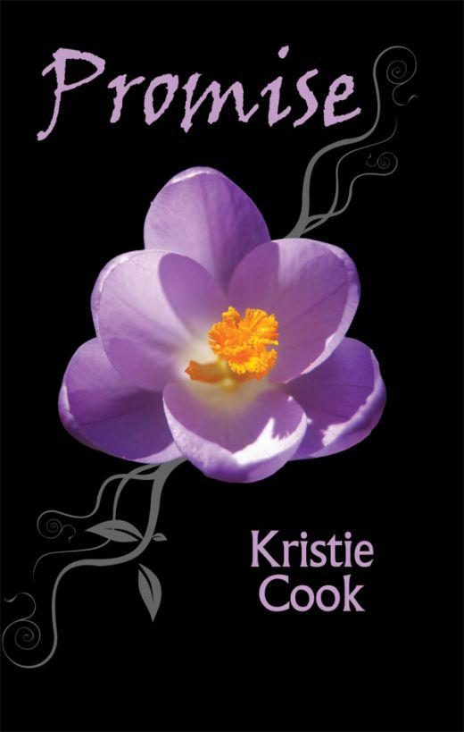 Обложка книги «Promise»