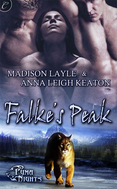 Обложка книги «Falke’s Peak»