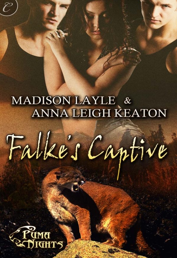 Обложка книги «Falke’s Captive»