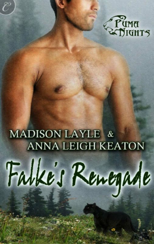 Обложка книги «Falke’s Renegade»