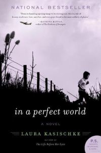 Обложка книги «In a Perfect World»