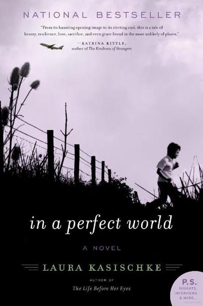 Обложка книги «In a Perfect World»
