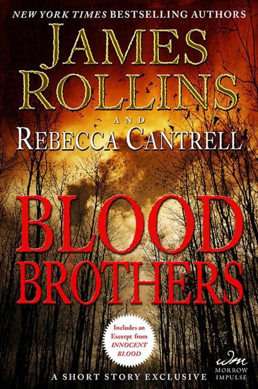 Обложка книги «Blood Brothers»