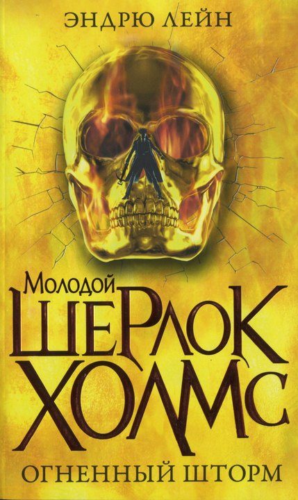 Обложка книги «Огненный шторм»
