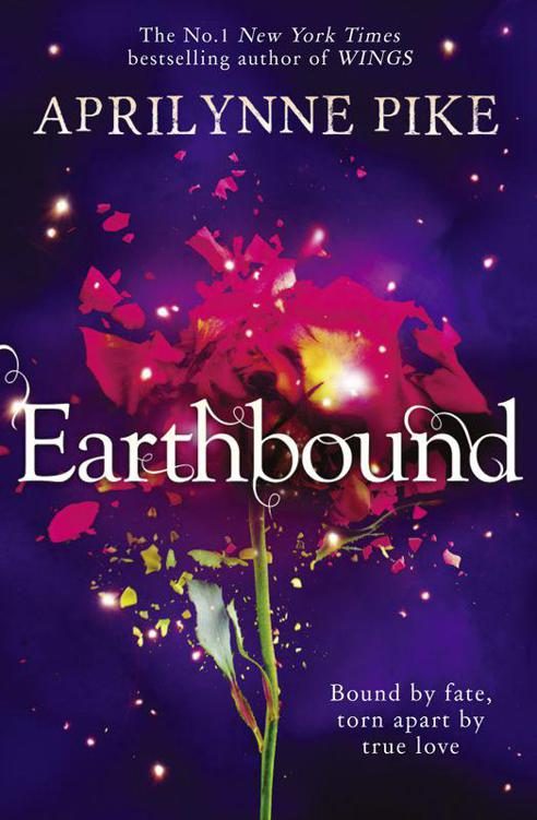 Обложка книги «Earthbound»