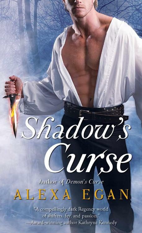 Обложка книги «Shadow's Curse»