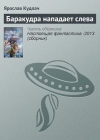 Обложка книги «Баракудра нападает слева»