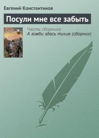 Обложка книги «Посули мне все забыть»