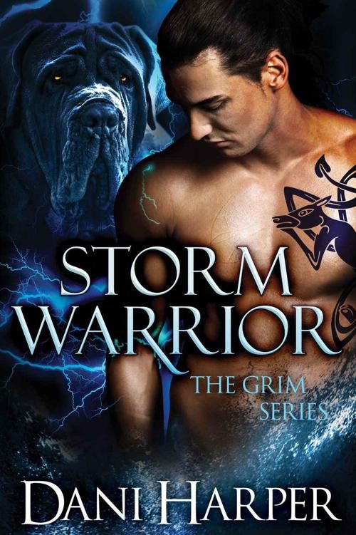 Обложка книги «Storm Warrior»