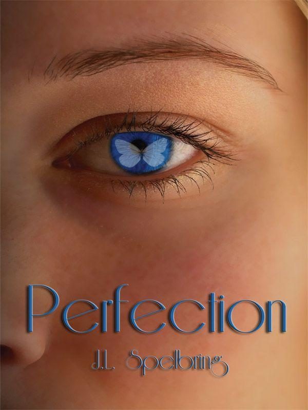 Обложка книги «Perfection»