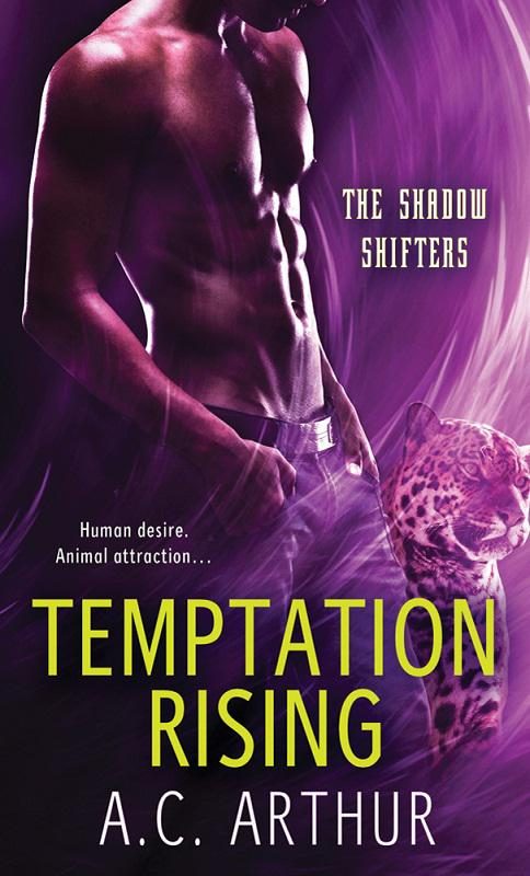 Обложка книги «Temptation Rising»