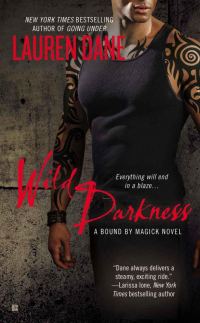 Обложка книги «Wild Darkness»
