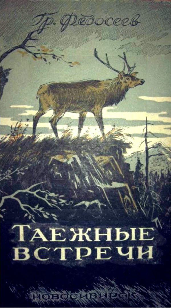 Обложка книги «Таежные встречи»