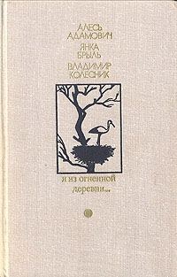 Обложка книги «Я из огненной деревни…»