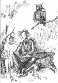 Обложка книги «Приключения Никтошки»