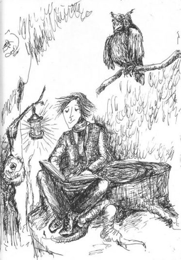 Обложка книги «Приключения Никтошки»