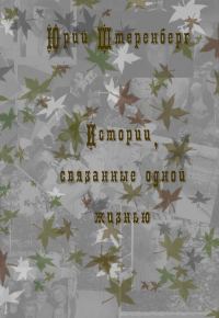 Обложка книги «Истории, связанные одной жизнью»