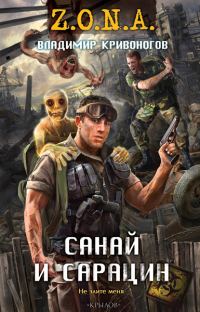 Обложка книги «Санай и Сарацин»