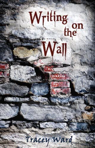 Обложка книги «Writing on the Wall»