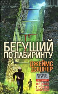 Обложка книги «Бегущий по Лабиринту»