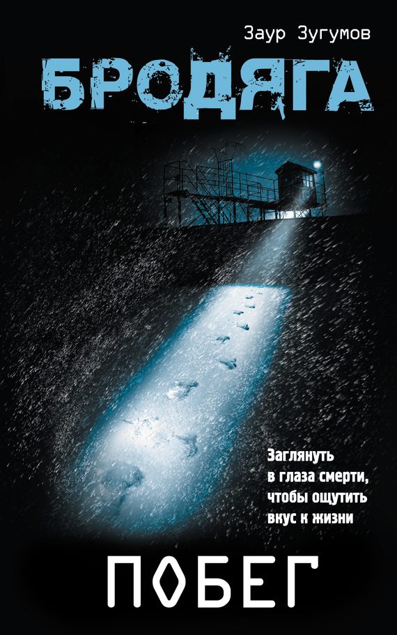 Обложка книги «Бродяга. Побег»