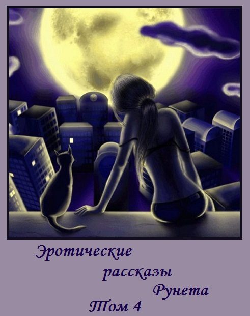 Обложка книги «Эротические рассказы Рунета - Том 4»