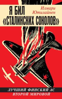 Обложка книги «Я бил «сталинских соколов»»