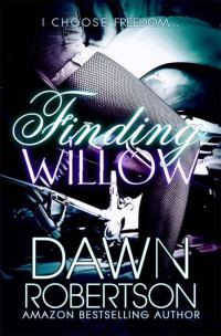 Обложка книги «Finding Willow»