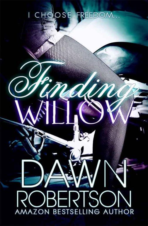 Обложка книги «Finding Willow»
