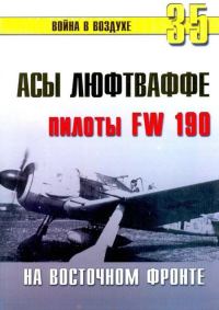 Обложка книги «Асы люфтваффе. Пилоты Fw 190 на Восточном фронте»