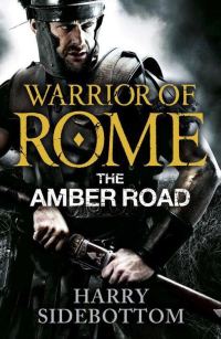 Обложка книги «The Amber Road»