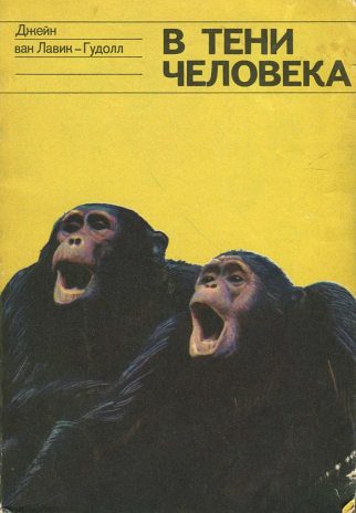 Обложка книги «В тени человека»