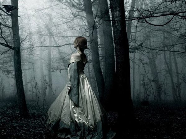 Обложка книги «Красавицы и чудовища (СИ)»