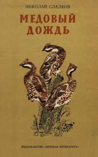 Обложка книги «Медовый дождь»