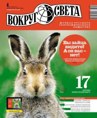 Обложка книги «Вьетнамский тихоход»