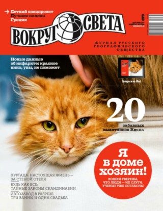 Обложка книги «Клик победы»