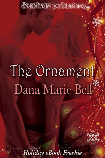 Обложка книги «The Ornament: Adrian and Sheri»