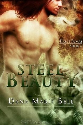 Обложка книги «Steel Beauty»