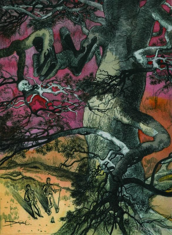 Обложка книги «Золотой жук»