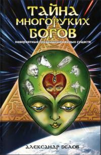 Обложка книги «Тайна многоруких богов»