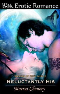 Обложка книги «Reluctantly His»
