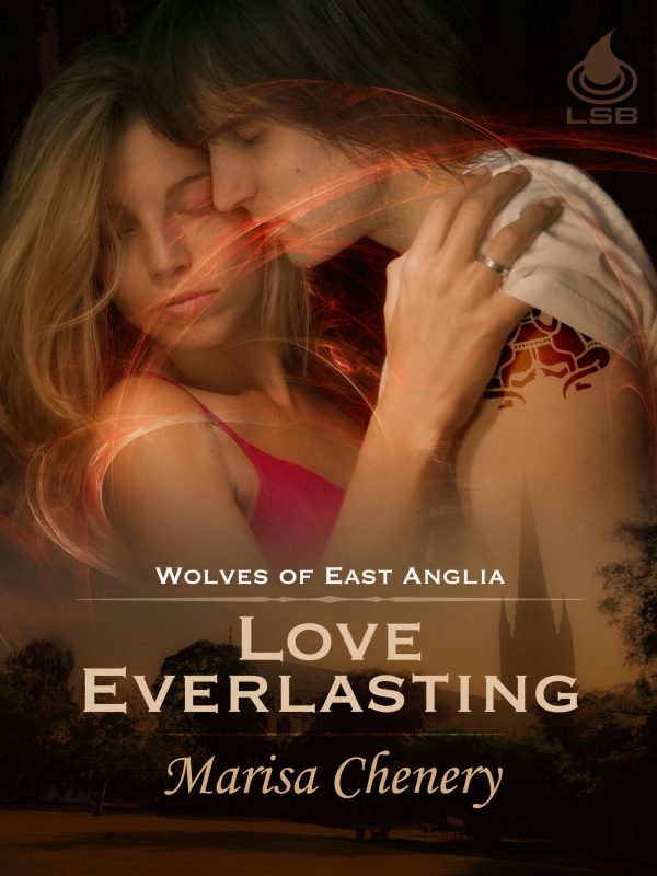 Обложка книги «Love Everlasting»