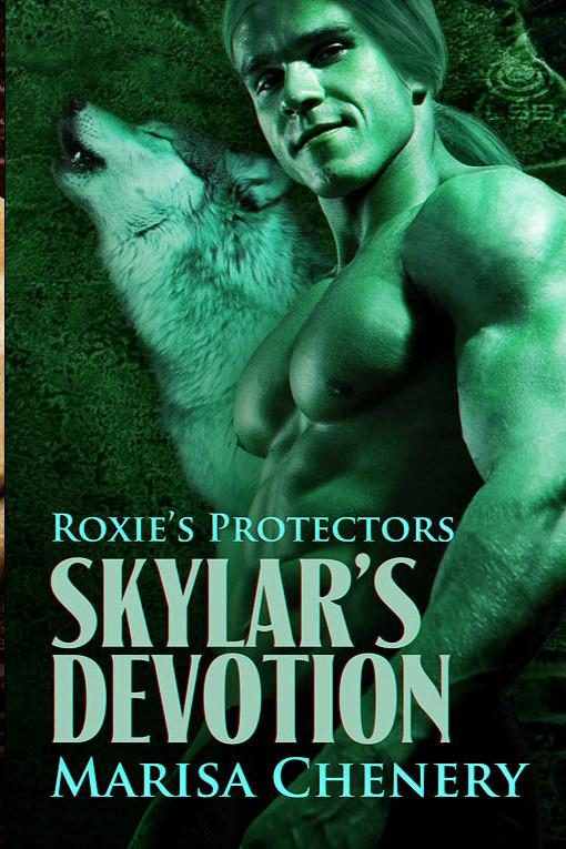 Обложка книги «Skylar’s Devotion»
